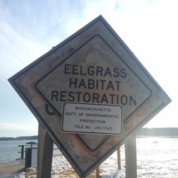 Eelgrass Habitat Restoration