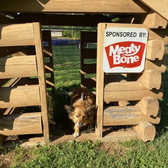 Sweetwater KOA - Dog park fun - Campgrounds Near Me - Sweetwater, Tennessee Sweetwater KOA - Dog park fun - Campgrounds Near Me - Sweetwater, Tennessee