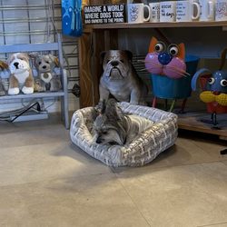 Silly Willie's - House fur baby