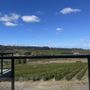 Rizzo Winery