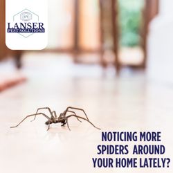 Lanser Pest Solutions - If you need help keeping spiders outside where they belong, contact Lanser Pest Solutions today!