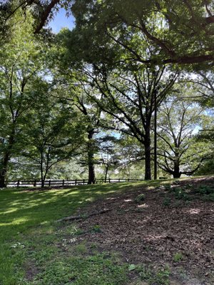 Chastain Park by null