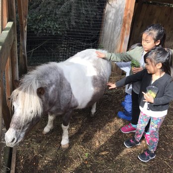 Fox Hollow Farm - Attraction Farms Near Me - Issaquah, Washington