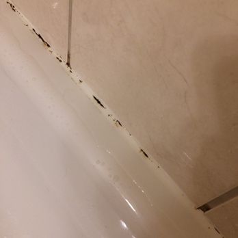 Days Inn - Black mould - Hotels Near Me - Hamilton, Ontario