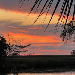 Salt Creek Restaurant - Suwannee Sunset