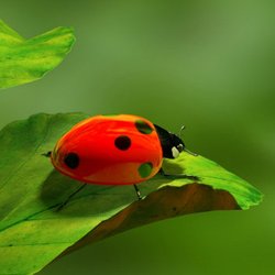 Happy Healthy Skin - Happy Healthy Skin