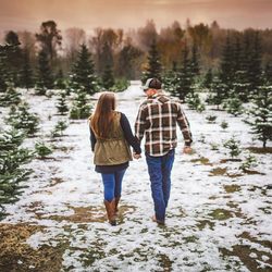 Hemstrom Valley Tree Farm Christmas Trees