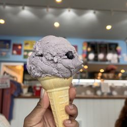 Mad Martha's Ice Cream - Single Blueberry in cake cone
