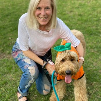 Stephanie Baron - Me and Ziggy - Psychologists Near Me - Los Angeles, California Stephanie Baron - Me and Ziggy - Psychologists Near Me - Los Angeles, California