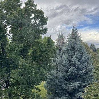 Residence Inn Fort Collins - The view from the window of room 330 - Hotels Near Me - Fort Collins, Colorado Residence Inn Fort Collins - The view from the window of room 330 - Hotels Near Me - Fort Collins, Colorado