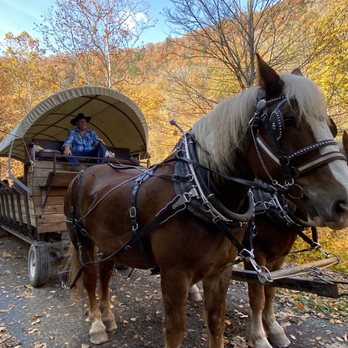 Ole' Covered Wagon Tours - Tours Near Me Ole' Covered Wagon Tours - Tours Near Me