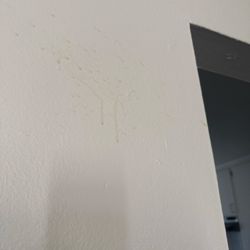 Riviera Property Management - Look at this paint job?!!!!!! That's how I got the apartment