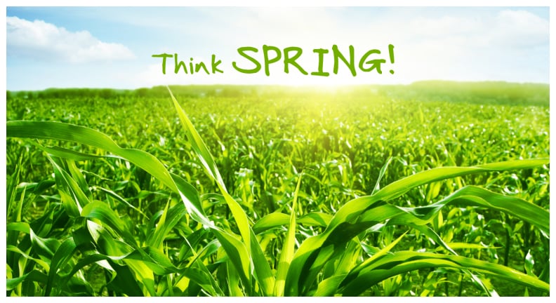 Adam's Lawn Service - tree service in Manchester, CT