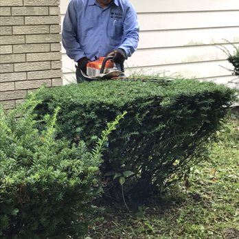Maya-Bruns Landscaping - Trimming bushes. - Landscaping Near Me - Beloit, Wisconsin Maya-Bruns Landscaping - Trimming bushes. - Landscaping Near Me - Beloit, Wisconsin