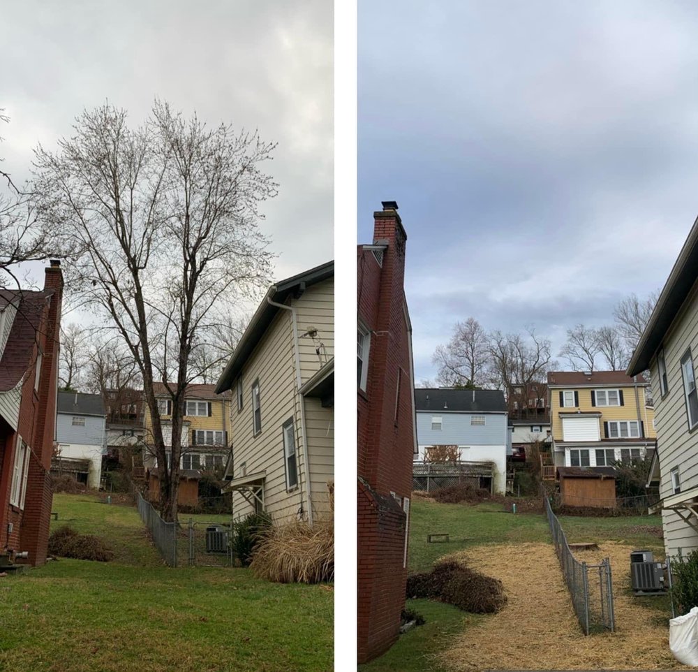 Wimer - tree service in Clendenin, WV