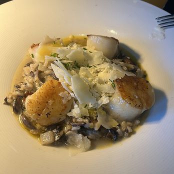 Oceans 234 - Seared scallops - New American Near Me - Deerfield Beach, Florida Oceans 234 - Seared scallops - New American Near Me - Deerfield Beach, Florida