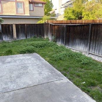 Rubio's Lawn Care - Backyard - Lawn Services Near Me Rubio's Lawn Care - Backyard - Lawn Services Near Me