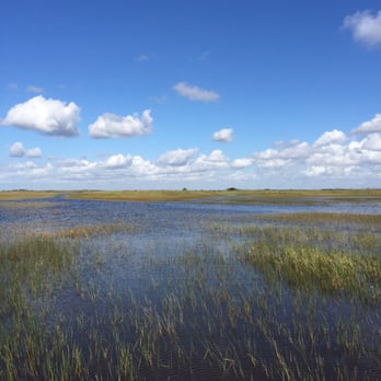 gator park - Airboat tour - Boat Tours Near Me - Miami, Florida