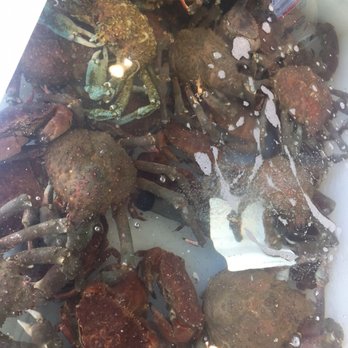 Quality Seafood - Crabs - Seafood Markets Near Me - Redondo Beach, California