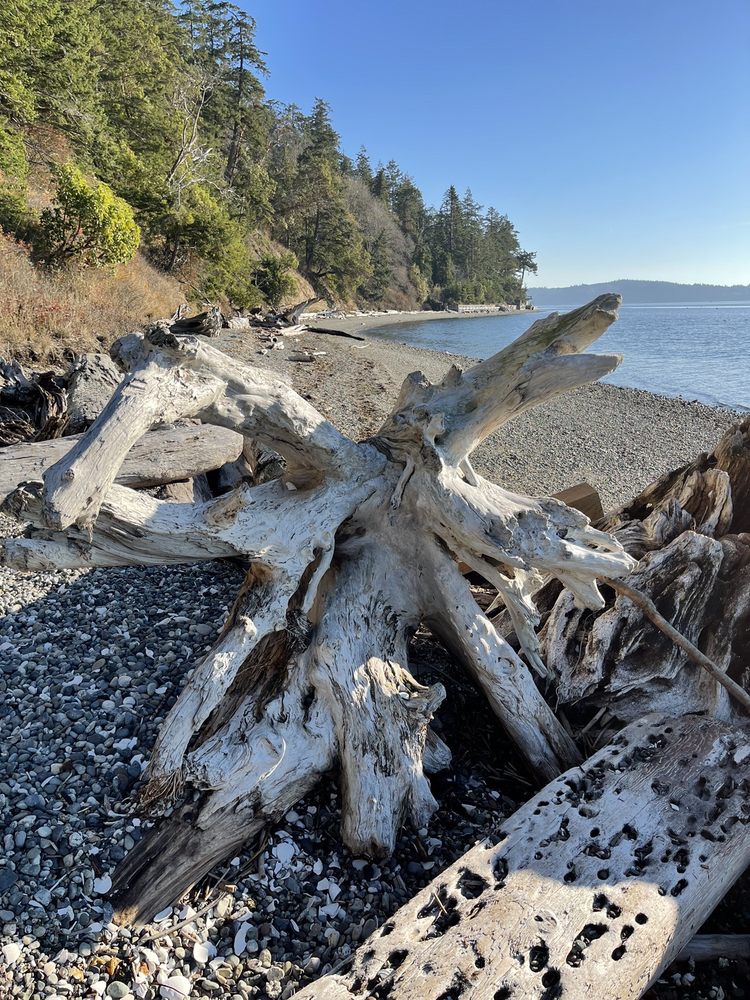 Cama Beach State Park Image