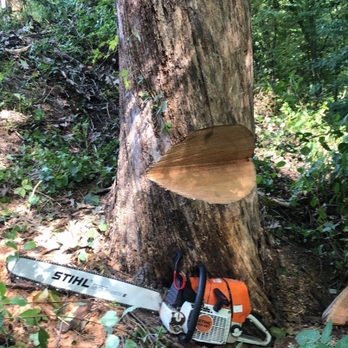 American Tree Care - Tree Services Near Me