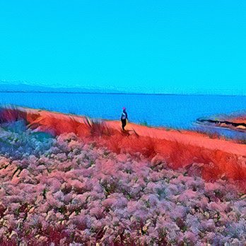 Alviso Marina County Park - Alviso Marina County Park - Parks Near Me - Alviso, California