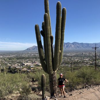 Tumamoc Hill - Saguaro 5 times my size - Hiking Near Me - Tucson, Arizona