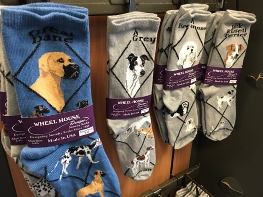 Dog Days of Cape May