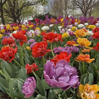 Myriad Botanical Gardens - Botanical Gardens Near Me - Oklahoma City, Oklahoma