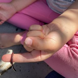 Kid Works Children's Center - Stewardship begins in our own backyard. Children have many opportunities to connect with nature at Kid Works.