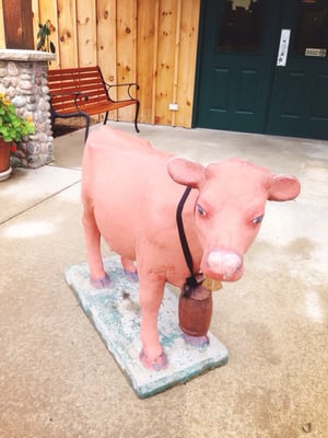 Leelanau Cheese by null