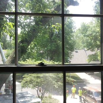 D & B Tree Service - Tree Services Near Me - Olathe, Kansas D & B Tree Service - Tree Services Near Me - Olathe, Kansas