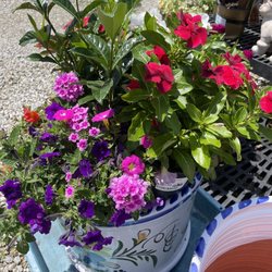 Sugar Creek Gardens