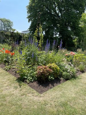 Oxford Botanic Garden by null
