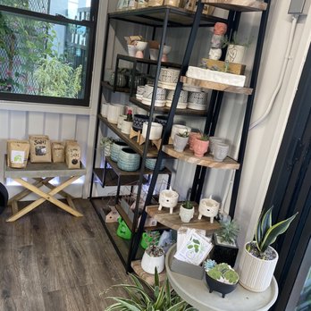 MiMo Garden Center - So cute - Nurseries & Gardening Near Me - Miami, Florida MiMo Garden Center - So cute - Nurseries & Gardening Near Me - Miami, Florida