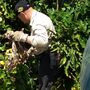 Photo of Heredias Pest Solutions