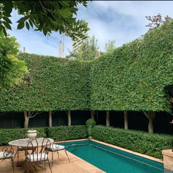 Ascent Yard Care - a pool surrounded by hedges - Landscaping Near Me - Saanichton, British Columbia Ascent Yard Care - a pool surrounded by hedges - Landscaping Near Me - Saanichton, British Columbia