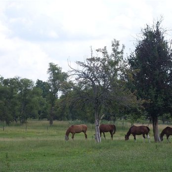 Happy Herd Stables - Horse Boarding Near Me - Batavia, New York Happy Herd Stables - Horse Boarding Near Me - Batavia, New York