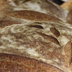 Hillside Bakery - Hillside Bakery - sourdough Miche