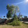 Photo of Open View Landscape And Tree Service