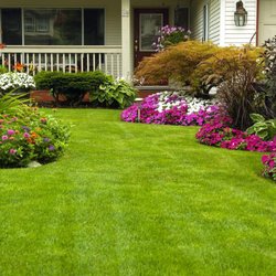 Mountain View Spraying Service