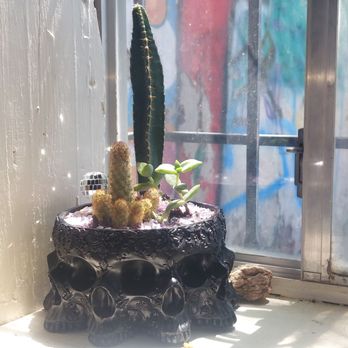 Zinks Town - Our pots! - Art Galleries Near Me - Albuquerque, New Mexico
