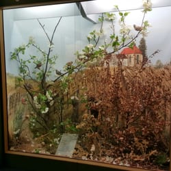 Naturkundliches Museum