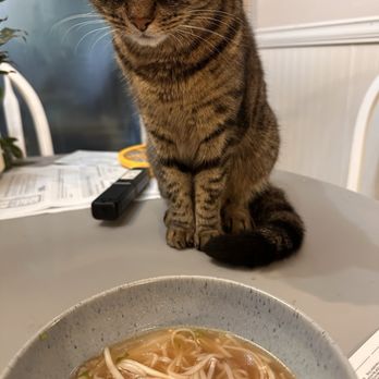 Pho Basil - No cats were allowed to eat the 18. Beef Pho - Vietnamese Near Me - Wilmington, North Carolina Pho Basil - No cats were allowed to eat the 18. Beef Pho - Vietnamese Near Me - Wilmington, North Carolina