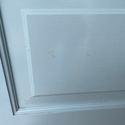 Koopman Lumber and Hardware - Fir pitch seeping through the paint - 24 months after installation