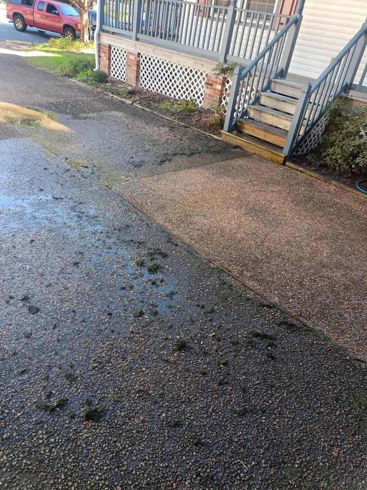 Slide of Whistling Ladders