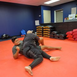 Anvil Self Defense and Survival