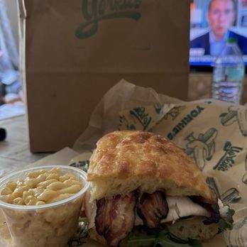 Yorkies VB - Ace - Delis Near Me - Virginia Beach, Virginia