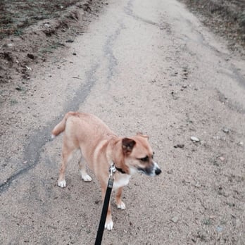 Cross Town Trail - Can you please finish up so we can get out of the rain? - Hiking Near Me Cross Town Trail - Can you please finish up so we can get out of the rain? - Hiking Near Me
