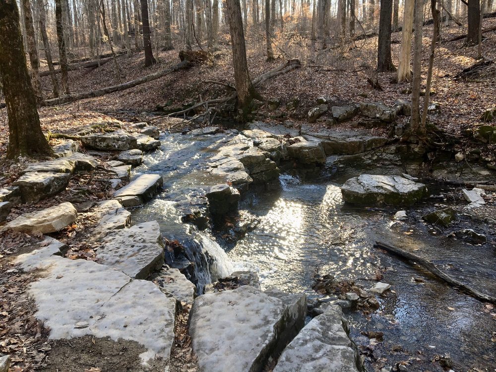 McCormick's Creek State Park Logo